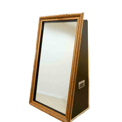 Lustro do selfie SHOWplus SM01